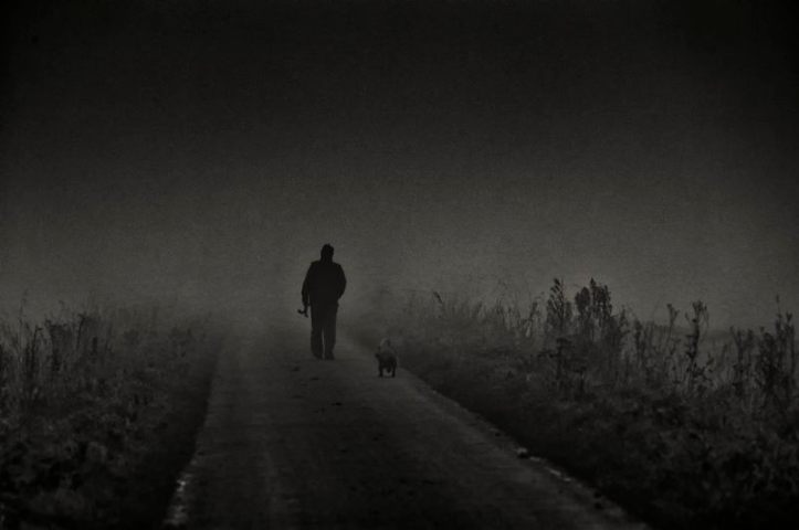 A man and his dog on a foggy mornng